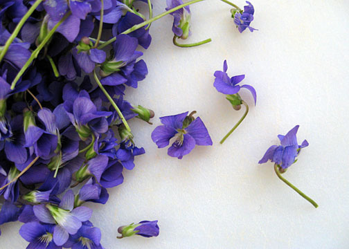 violets